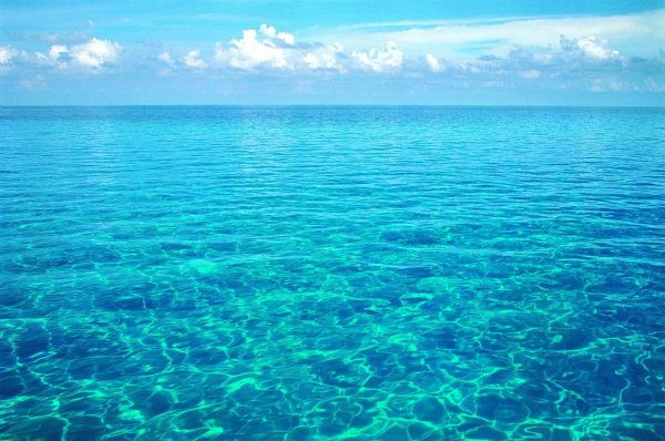Море вода