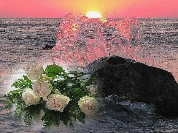 Красивый закат на море с дельфинами