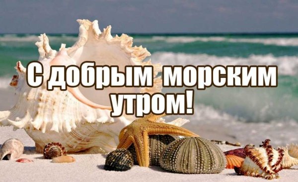 Доброе утро море