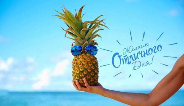 Доброго дня и хорошего настроения море