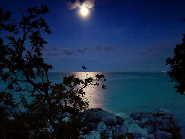 Ночь в море