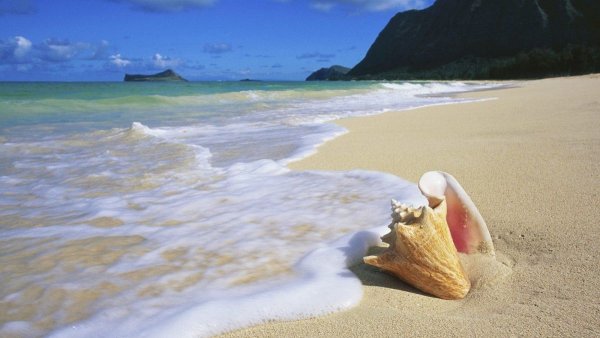 Три девушки смешные