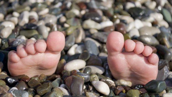 Кот на море