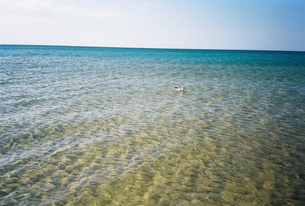 Адлер море