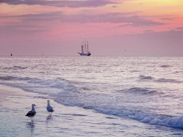 Море вдали от берега