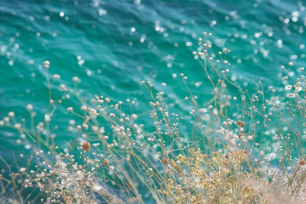 Природа в бирюзовых тонах