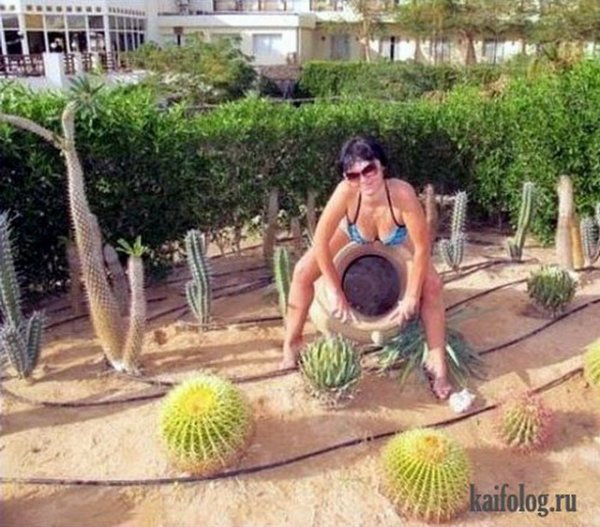 Карикатуры на пляже