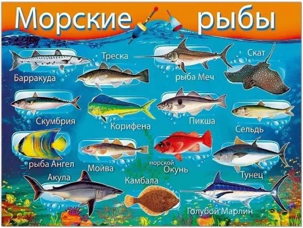 Самые вкусные и ценные морские рыбы - ТОП 12