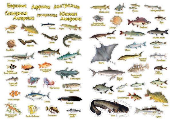 Морская рыба названия