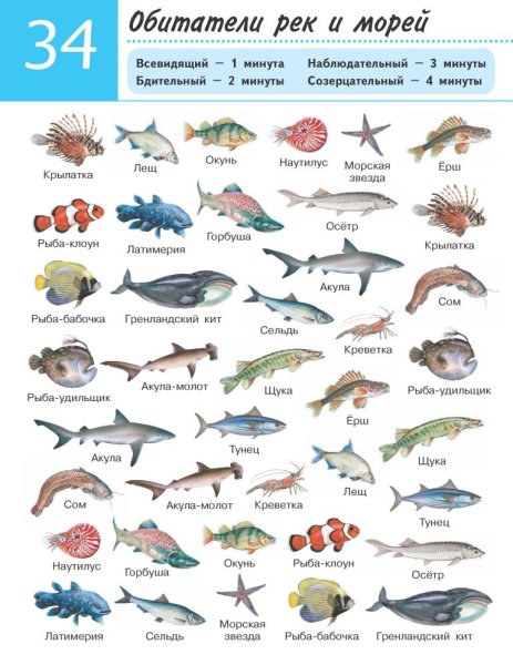 Рыба морская названия по алфавиту