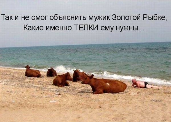 Я В отпуске