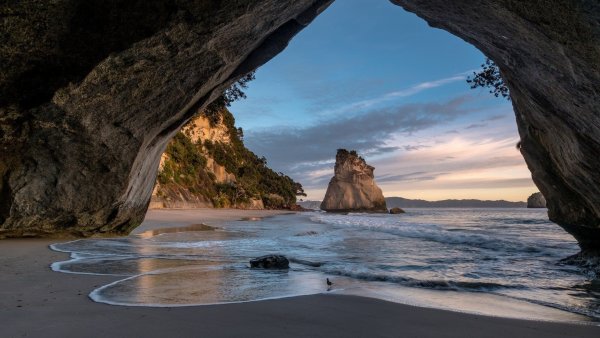 Кафедральная бухта новая Зеландия фото