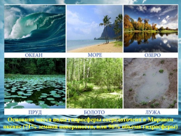 Реки озера моря океаны