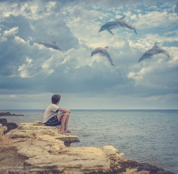 Два мальчика на берегу моря