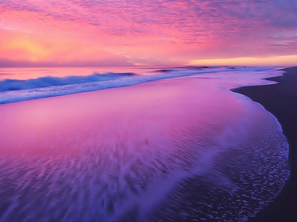 Розовый океан