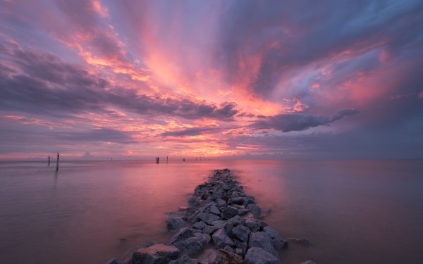 Розовое море фото