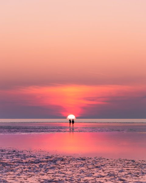 Розовый закат