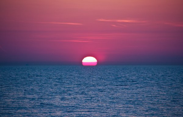 Розовое море