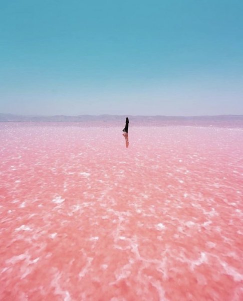 Розовое море