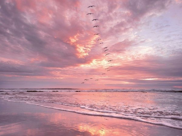 Розовый закат