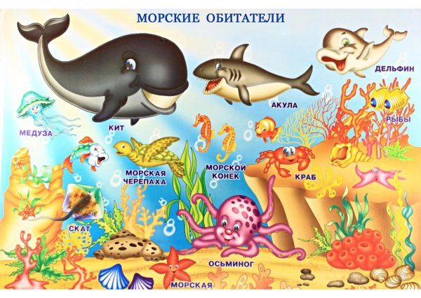 Обитатели океанов для детей