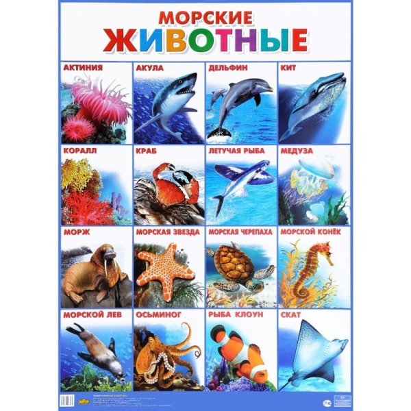 Таблица обитатели красного моря