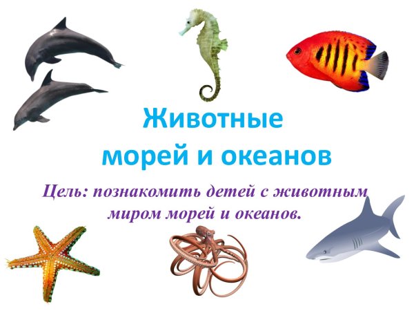 Таблица обитатели красного моря