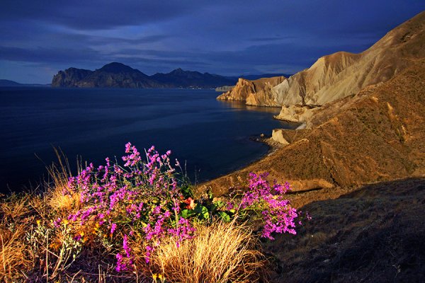 Гора караул-оба новый свет