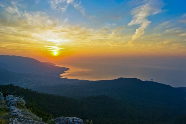 Цветы в горах Геленджика