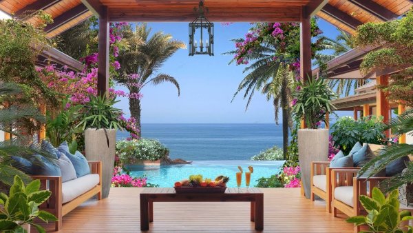 Художник Randy van Beek