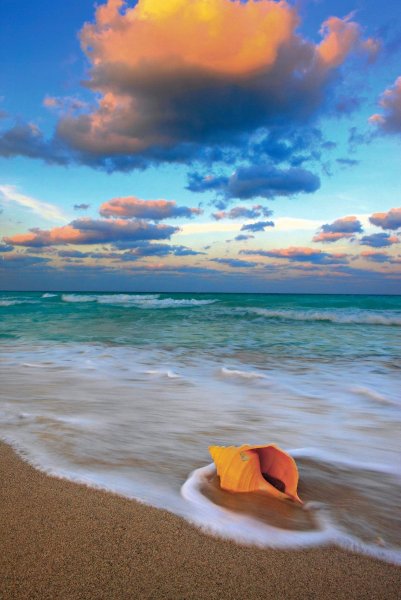 Доброе утро океан