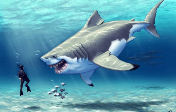 Морское дно с акулами