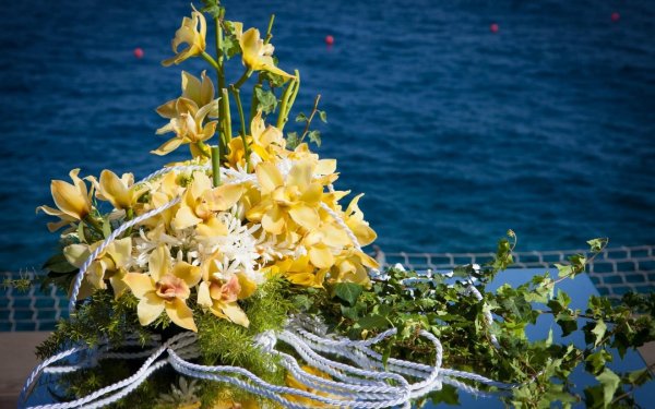 Цветы и море