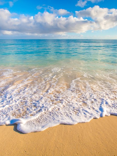 Море высокое качество