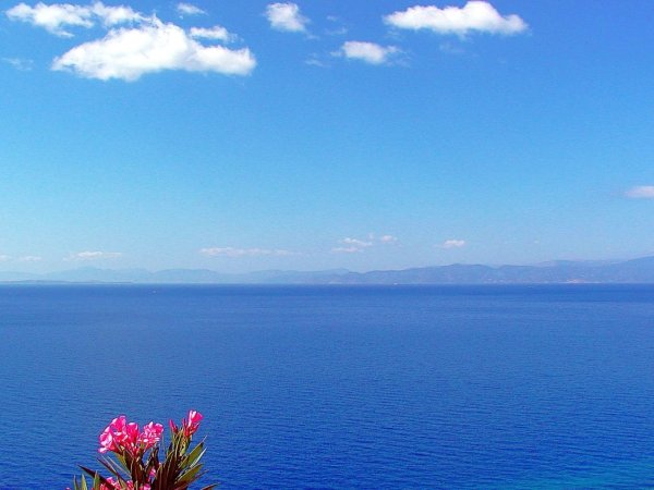 Букет прекрасных цветов и море