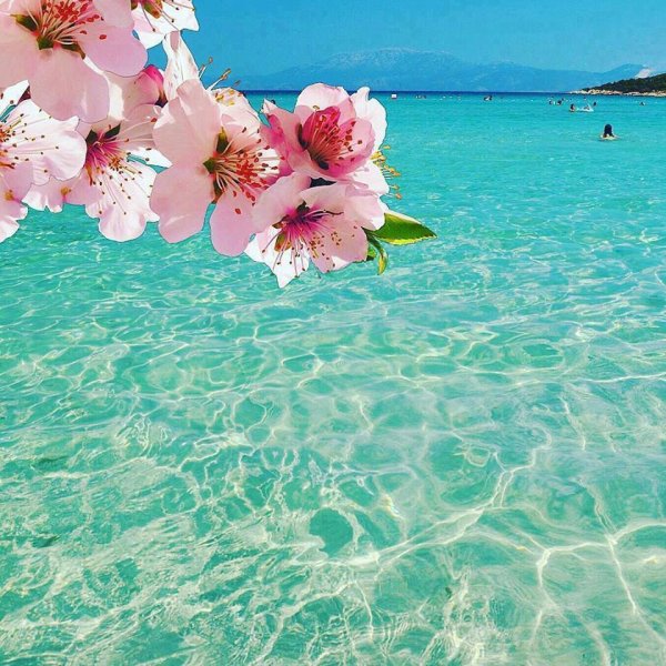 Спасибо море