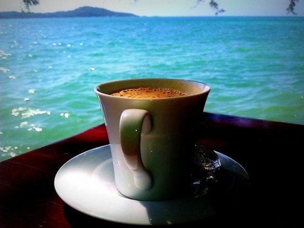 Доброе утро море цветы