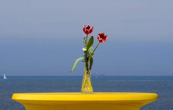 Букет на фоне моря