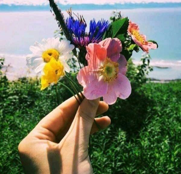 Экзотические цветы на пляже