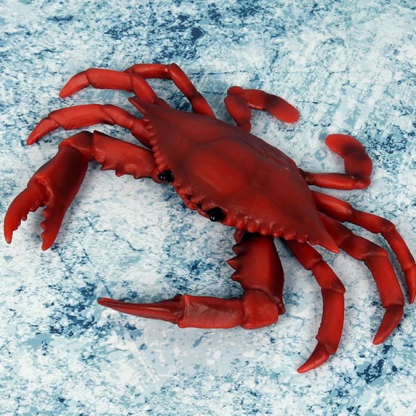 Красивый краб