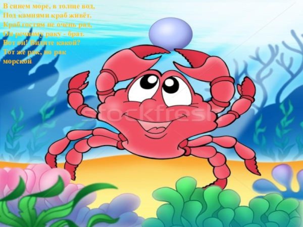 Стих про краба