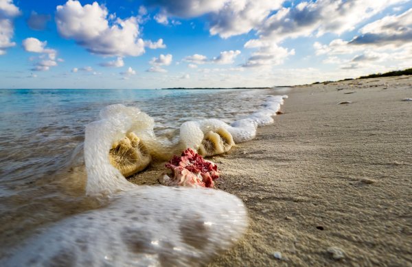 Морской берег