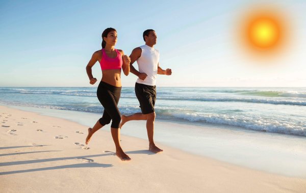 Море птицы девушка