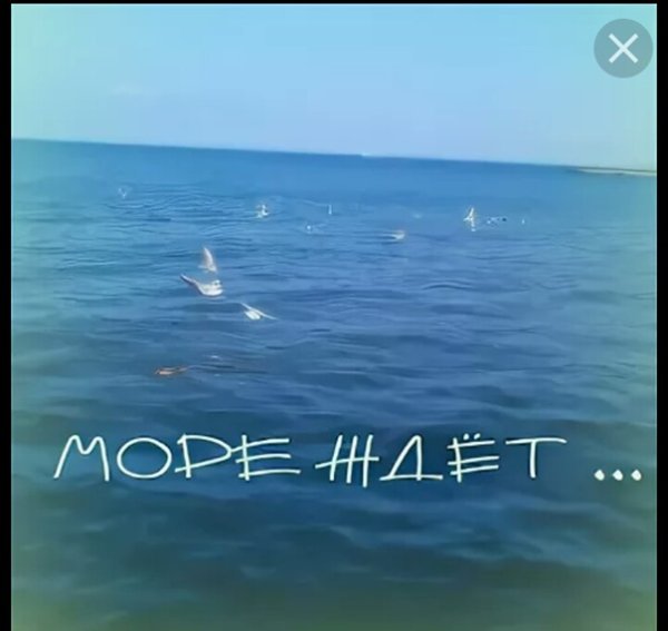 Море жди меня я скоро