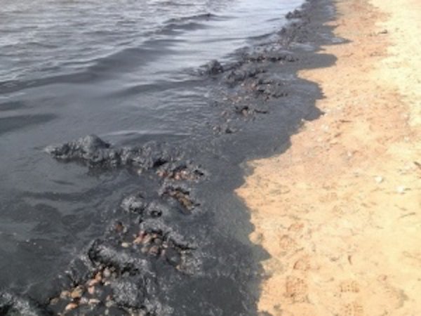 Нефть в воде