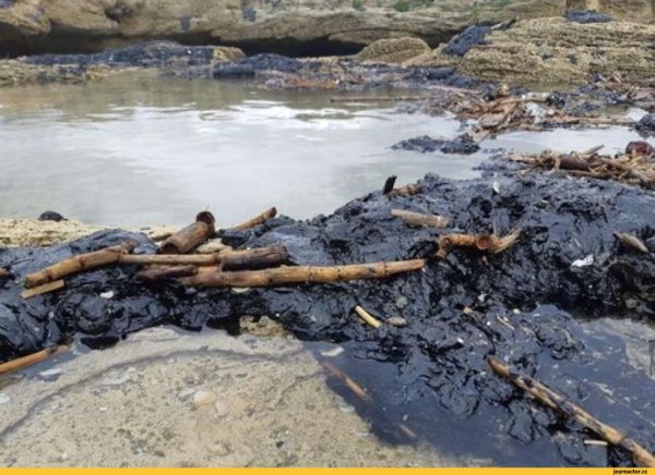 Экологическая катастрофа танкер Престиж