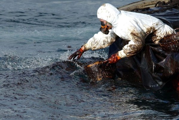 MV wakashio Oil spill