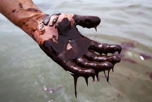 Новороссийский разлив нефти