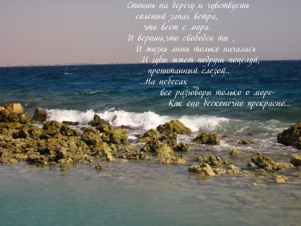 Цитаты про море