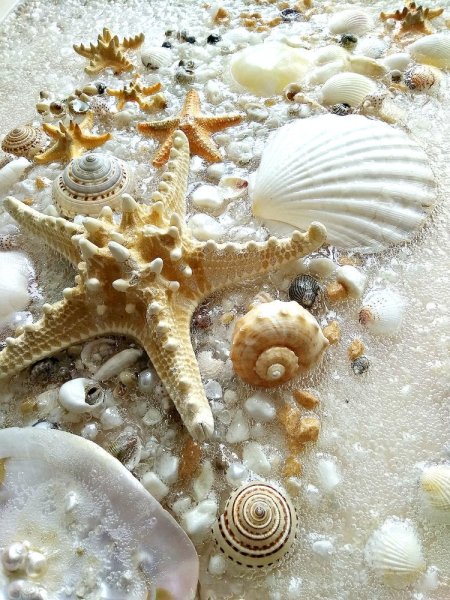 Фотообои на стену «шум моря» Komar 8-983 Seaside